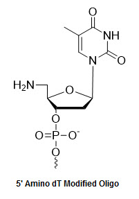 Bio-Synthesis Inc. Oligo Structure